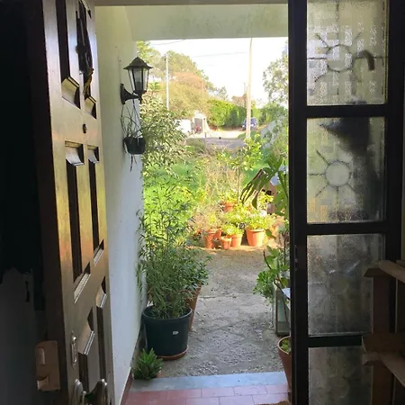 Regenerative Living Cascais Hostel Alcabideche